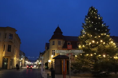Foto des Albums: Der Weihnachtsbaum (25.11.2020)