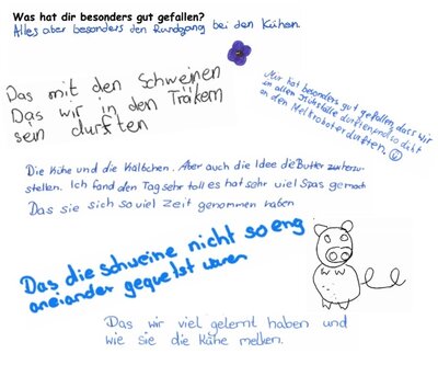 Foto des Albums: Feedback der Kinder