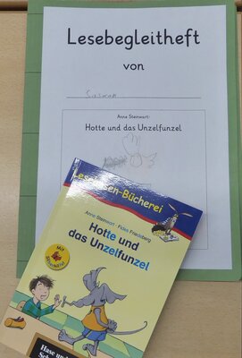 hotte 2  (Bild vergr&ouml;&szlig;ern)