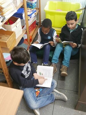 soer 3  (Bild vergr&ouml;&szlig;ern)