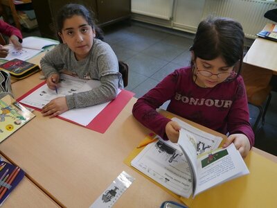 soer 7  (Bild vergr&ouml;&szlig;ern)