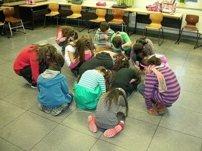 6196  (Bild vergr&ouml;&szlig;ern)