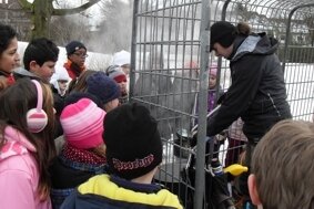 tee 2  (Bild vergr&ouml;&szlig;ern)