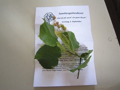 Foto des Albums: Sommerfest der Kirchengemeinde Bad Dürrenberg