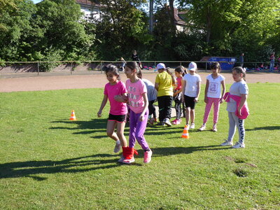 P1000428  (Bild vergr&ouml;&szlig;ern)