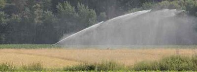 Foto des Albums: Landwirt Hubertus Meyer berichtet in der LZ über Feldberegnung