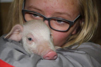 Foto des Albums: Zukunftstag: Tiere füttern, Trecker fahren und Grünland pflegen