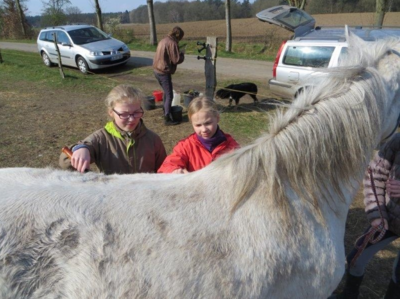 Foto des Albums: Zukunftstag: Tiere füttern, Trecker fahren und Grünland pflegen