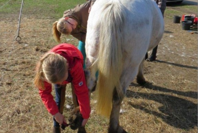 Foto des Albums: Zukunftstag: Tiere füttern, Trecker fahren und Grünland pflegen