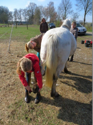 Foto des Albums: Zukunftstag: Tiere füttern, Trecker fahren und Grünland pflegen
