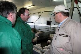 Foto des Albums: Kompetenzkreis Tierwohl des Bundeslandwirtschaftsministers informiert sich bei Schweinehaltern im Kreis Uelzen