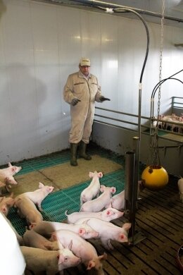 Foto des Albums: Kompetenzkreis Tierwohl des Bundeslandwirtschaftsministers informiert sich bei Schweinehaltern im Kreis Uelzen