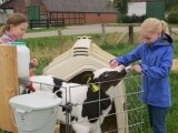Foto des Albums: Zukunftstag 2015: Tiere am beliebtesten bei Schülern