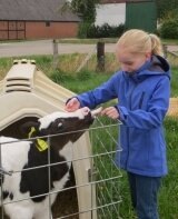 Foto des Albums: Zukunftstag 2015: Tiere am beliebtesten bei Schülern