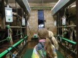 Foto des Albums: Zukunftstag 2015: Tiere am beliebtesten bei Schülern