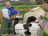 Foto des Albums: Zukunftstag 2015: Tiere am beliebtesten bei Schülern
