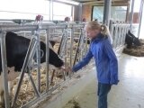 Foto des Albums: Zukunftstag 2015: Tiere am beliebtesten bei Schülern