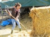 Foto des Albums: Zukunftstag 2015: Tiere am beliebtesten bei Schülern