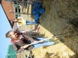 Foto des Albums: Zukunftstag 2015: Tiere am beliebtesten bei Schülern