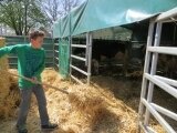 Foto des Albums: Zukunftstag 2015: Tiere am beliebtesten bei Schülern