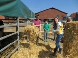 Foto des Albums: Zukunftstag 2015: Tiere am beliebtesten bei Schülern