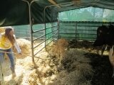 Foto des Albums: Zukunftstag 2015: Tiere am beliebtesten bei Schülern