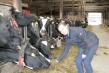 Foto des Albums: Zukunftstag 2015: Tiere am beliebtesten bei Schülern
