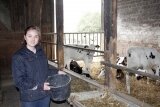 Foto des Albums: Zukunftstag 2015: Tiere am beliebtesten bei Schülern