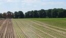 Foto des Albums: Gemüse und Pilze - die Hauptdarsteller der Sommerfahrt des AKJL Uelzen ins Oldenburger Münsterland