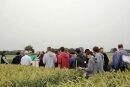 Foto des Albums: „Großes Kino“ beim 4. Bauerntag in Lemgow