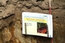 Foto des Albums: „Großes Kino“ beim 4. Bauerntag in Lemgow