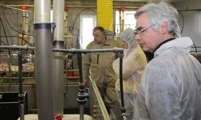 Foto des Albums: Zukunft der Schweinehaltung – Staatssekretärin Flachsbarth informiert sich bei BVNON-Vorsitzendem Thorsten Riggert