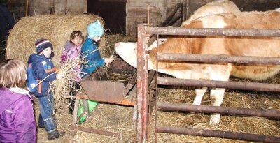 Foto des Albums: „Mini-Zukunftstag“ für die ganz Kleinen