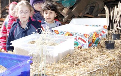 Foto des Albums: „Mini-Zukunftstag“ für die ganz Kleinen