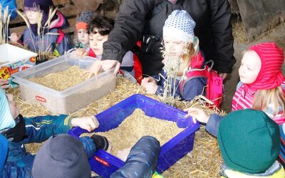 Foto des Albums: „Mini-Zukunftstag“ für die ganz Kleinen