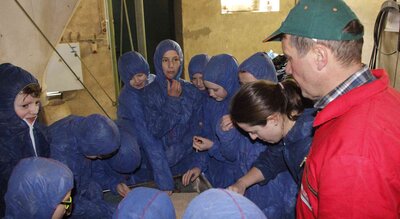 Foto des Albums: „Schweine mega süß“ - Gymnasium Salzhausen zu Gast bei Carsten Beecken