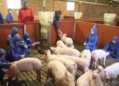 Foto des Albums: „Schweine mega süß“ - Gymnasium Salzhausen zu Gast bei Carsten Beecken