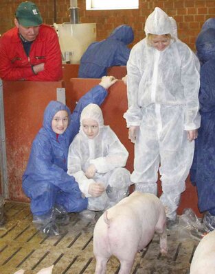 Foto des Albums: „Schweine mega süß“ - Gymnasium Salzhausen zu Gast bei Carsten Beecken
