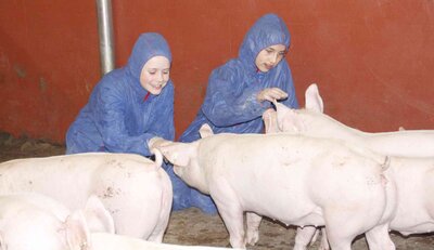 Foto des Albums: „Schweine mega süß“ - Gymnasium Salzhausen zu Gast bei Carsten Beecken