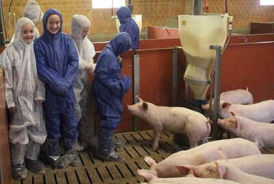 Foto des Albums: „Schweine mega süß“ - Gymnasium Salzhausen zu Gast bei Carsten Beecken
