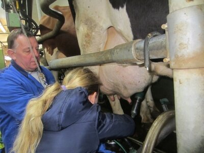 Foto des Albums: Zukunftstag 2017: Großes Interesse bei Schülern an Landwirtschaft