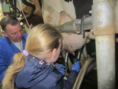 Foto des Albums: Zukunftstag 2017: Großes Interesse bei Schülern an Landwirtschaft