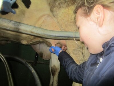 Foto des Albums: Zukunftstag 2017: Großes Interesse bei Schülern an Landwirtschaft