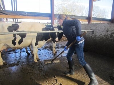 Foto des Albums: Zukunftstag 2017: Großes Interesse bei Schülern an Landwirtschaft