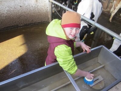Foto des Albums: Zukunftstag 2017: Großes Interesse bei Schülern an Landwirtschaft
