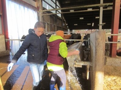 Foto des Albums: Zukunftstag 2017: Großes Interesse bei Schülern an Landwirtschaft