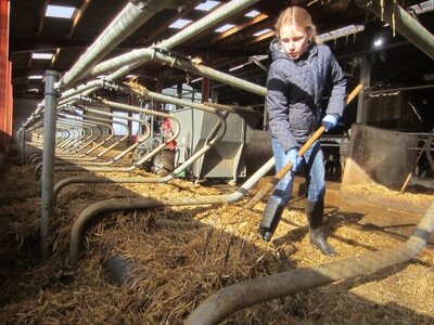 Foto des Albums: Zukunftstag 2017: Großes Interesse bei Schülern an Landwirtschaft