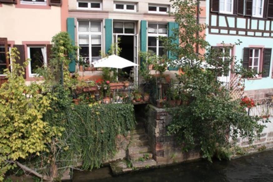Bild der Galerie