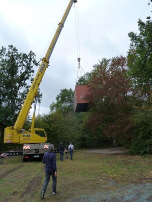 Foto des Albums: Arbeiten am Bouleplatz