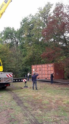 Foto des Albums: Arbeiten am Bouleplatz